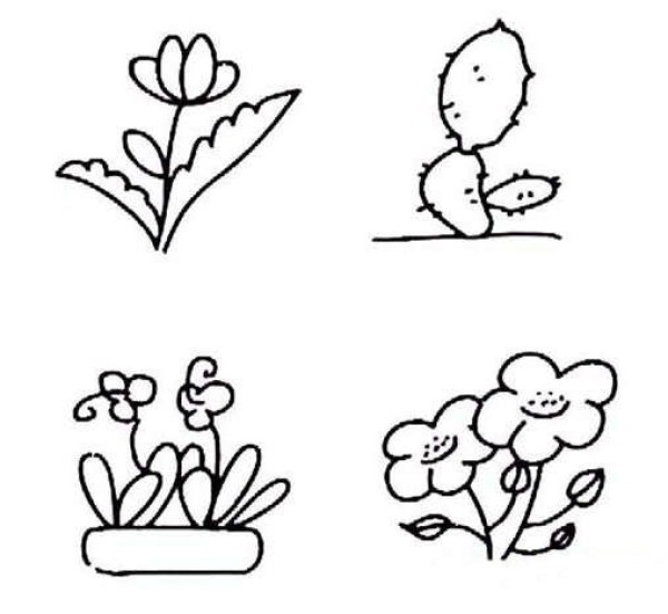 小花朵盆栽简笔画