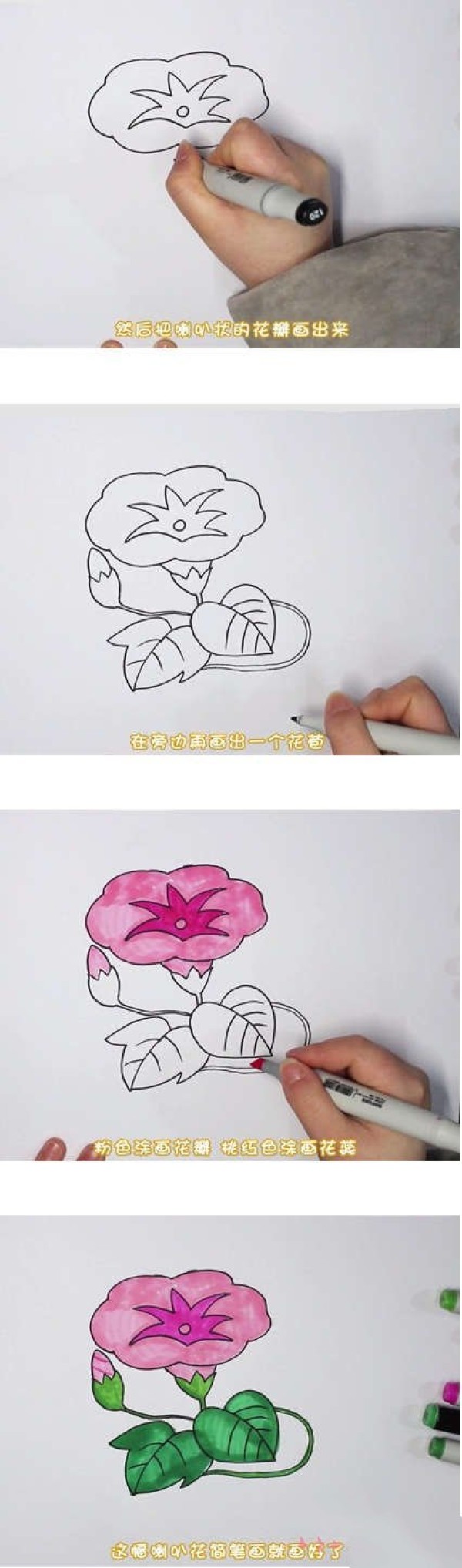 手绘喇叭花简笔画