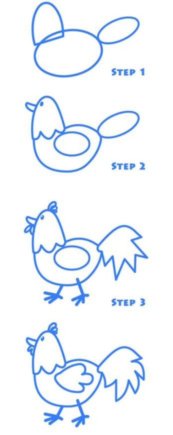 一步一步绘画大公鸡简笔画