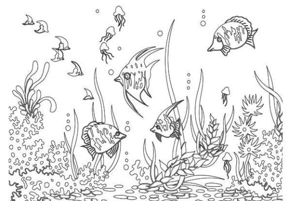 海洋动物的简笔画图片