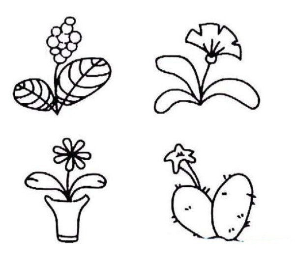 小花朵盆栽简笔画