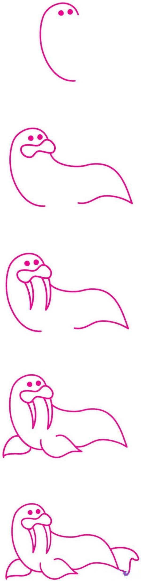 一步一步画教你画海狮