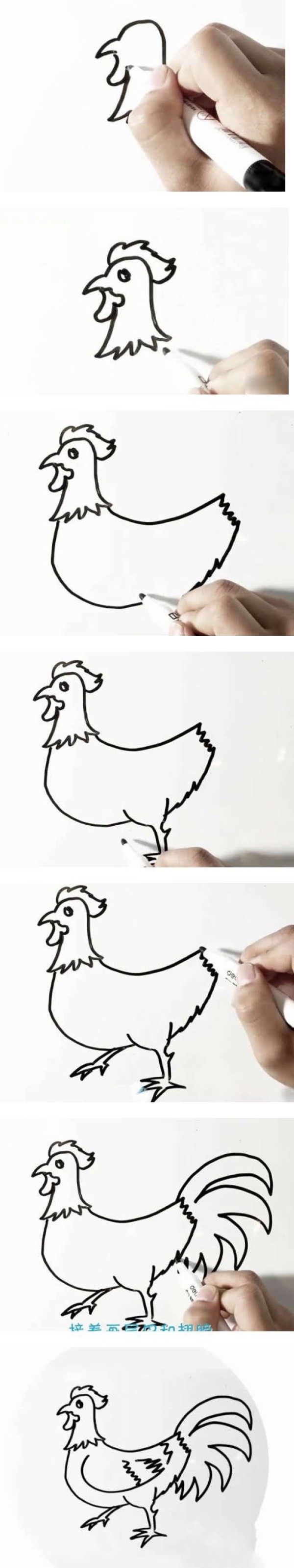 教你怎么画大公鸡