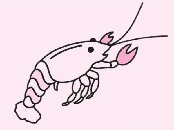涂上颜色的虾简笔画