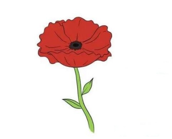 红菊花简笔画