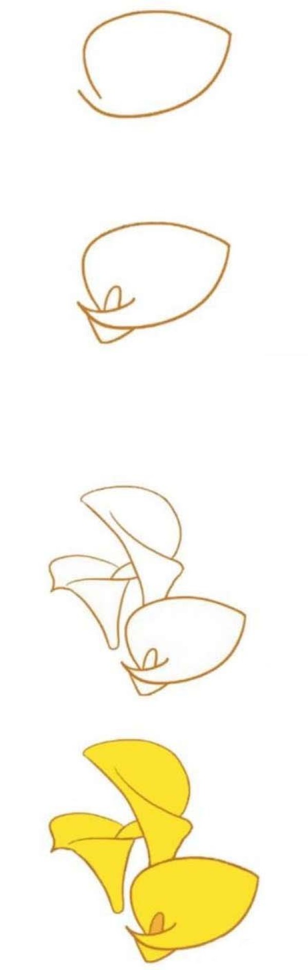 简单漂亮的马蹄莲简笔画
