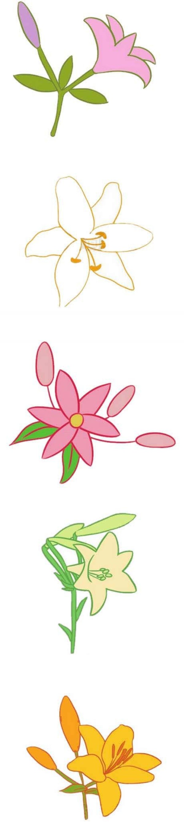 简单漂亮百合花怎么画