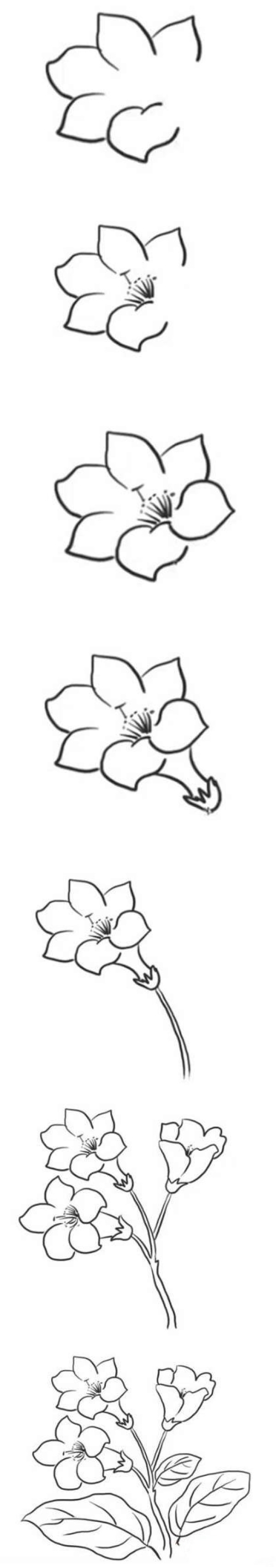 怎么画杜鹃花