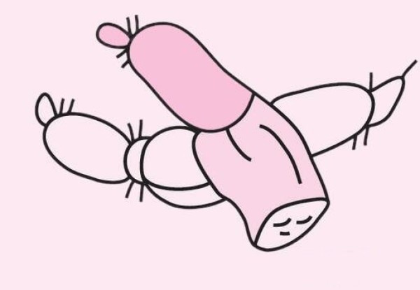 莲藕怎么画