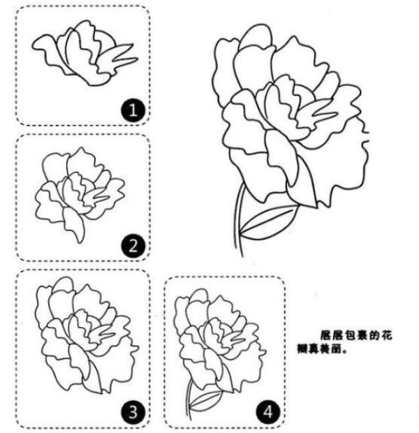 牡丹花简笔画