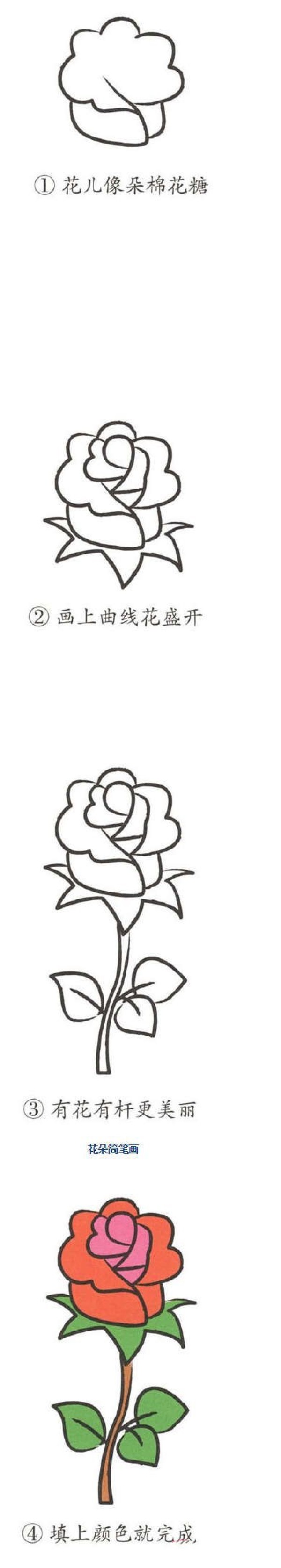 红色玫瑰花简笔画