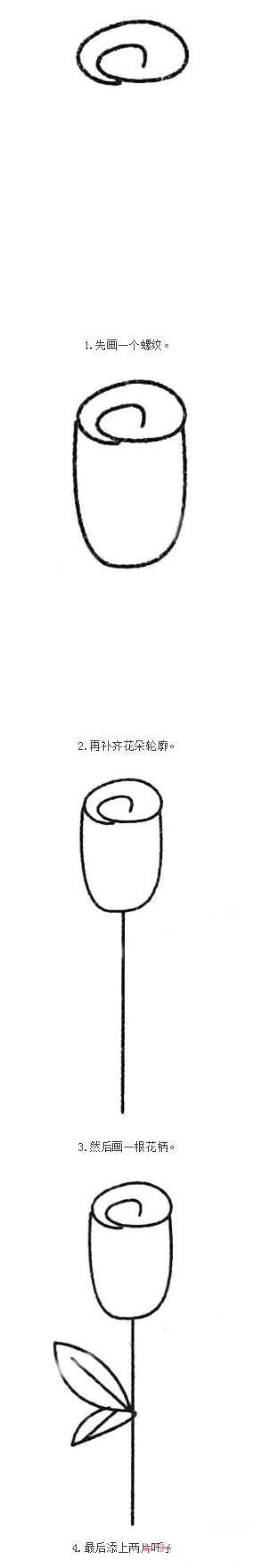 简单玫瑰花简笔画