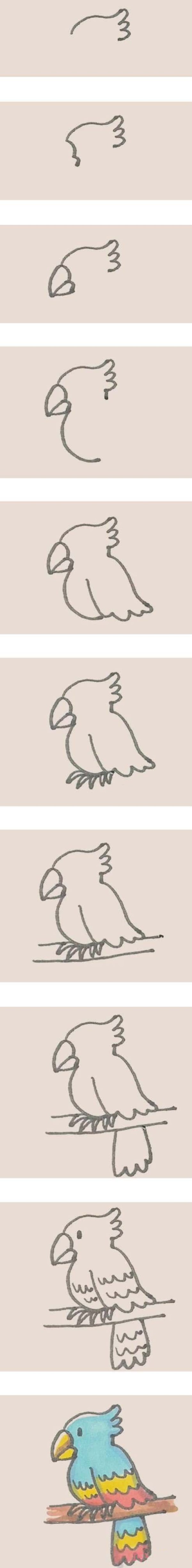 彩色鹦鹉怎么画