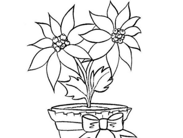 好看的两朵小花简笔画