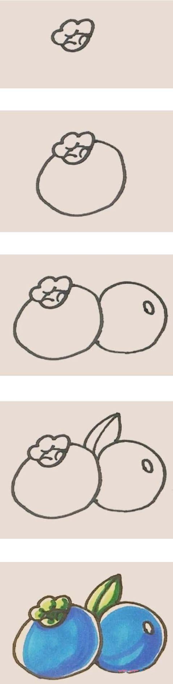 蓝莓水果简笔画