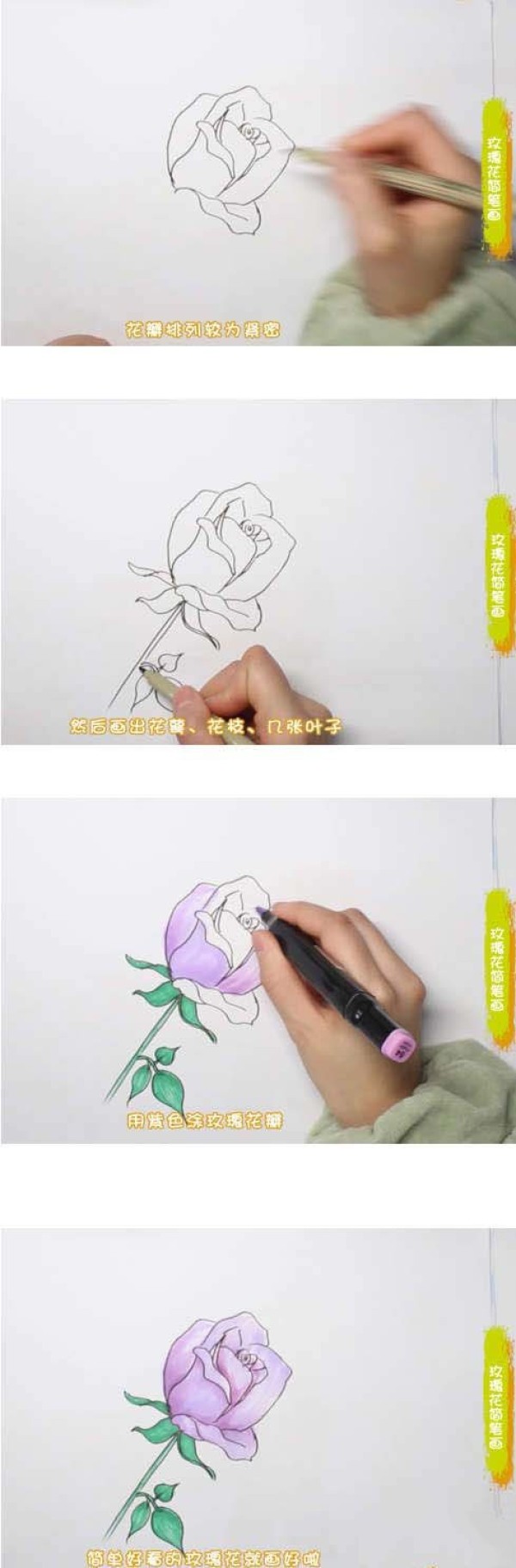 蓝玫瑰简笔画