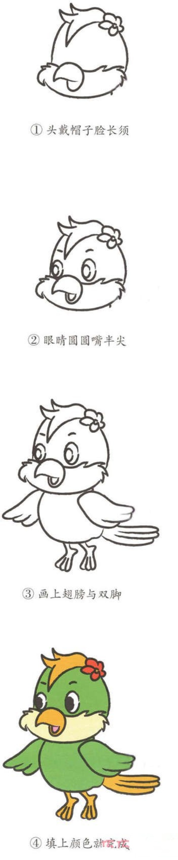 怎么画可爱小鹦鹉