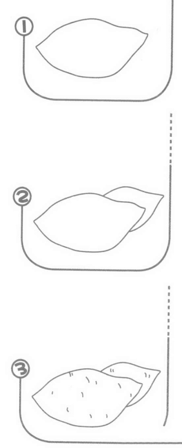 红薯简笔画图片