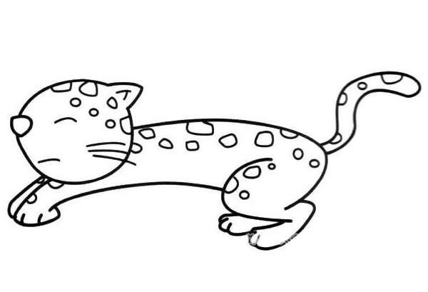 小花猫简笔画