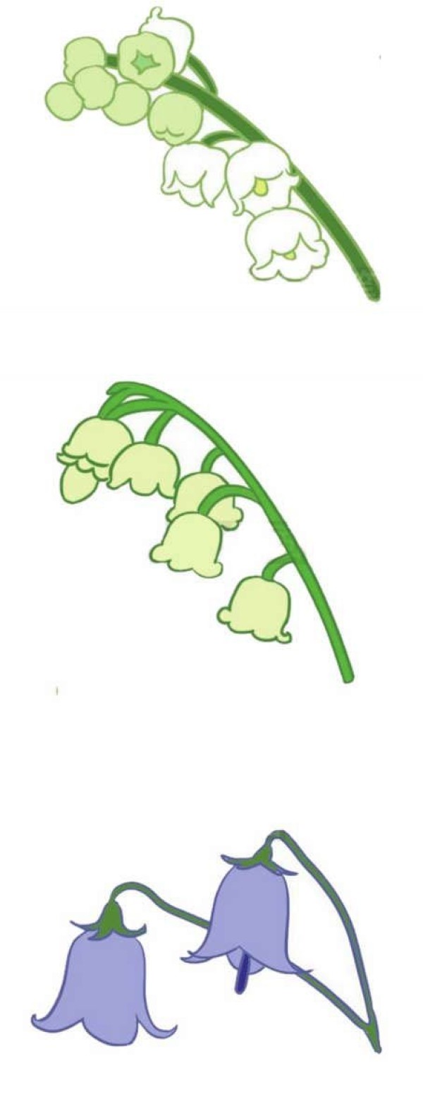 彩色铃兰花简笔画