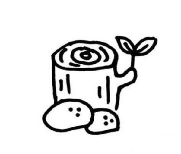 长新芽的树桩简笔画