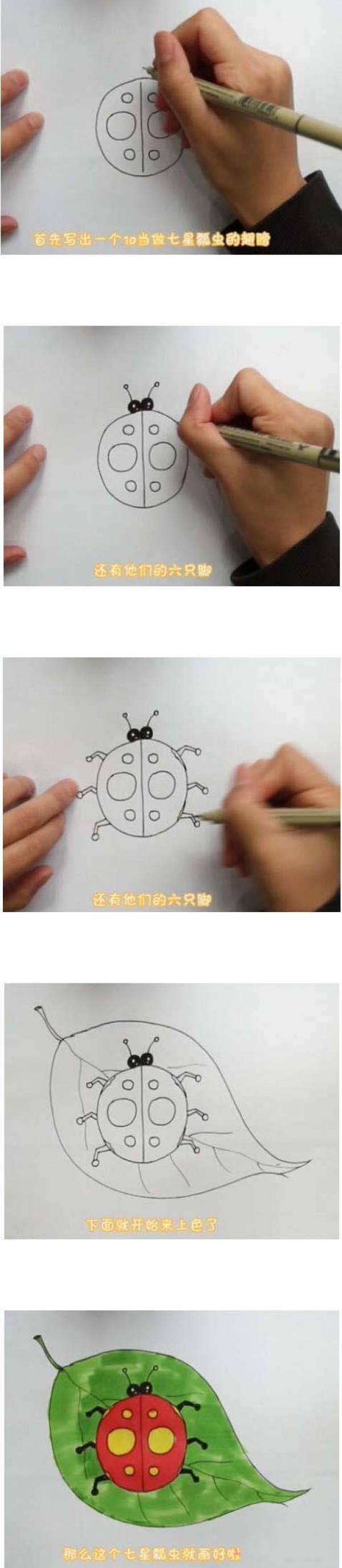 如何画七星瓢虫