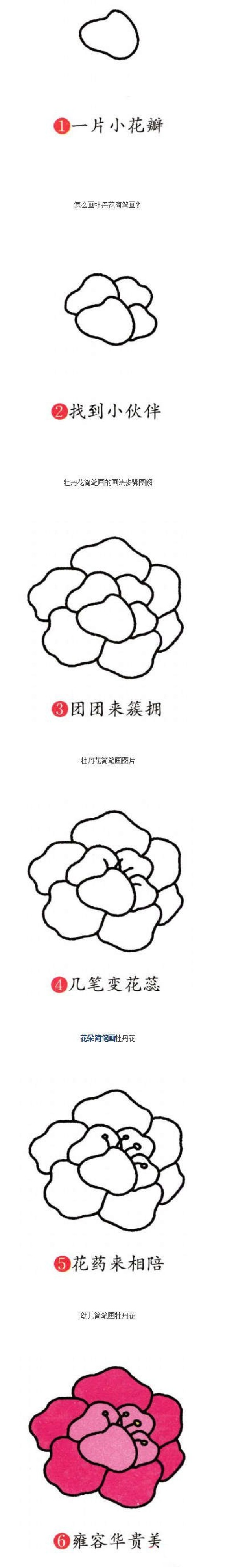 怎么画牡丹花