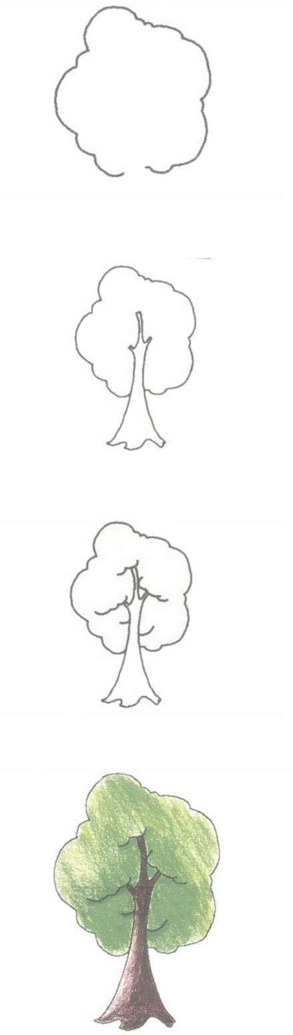 手绘一棵大树简笔画