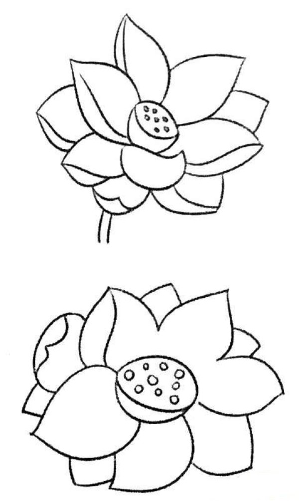 漂亮的荷花简笔画