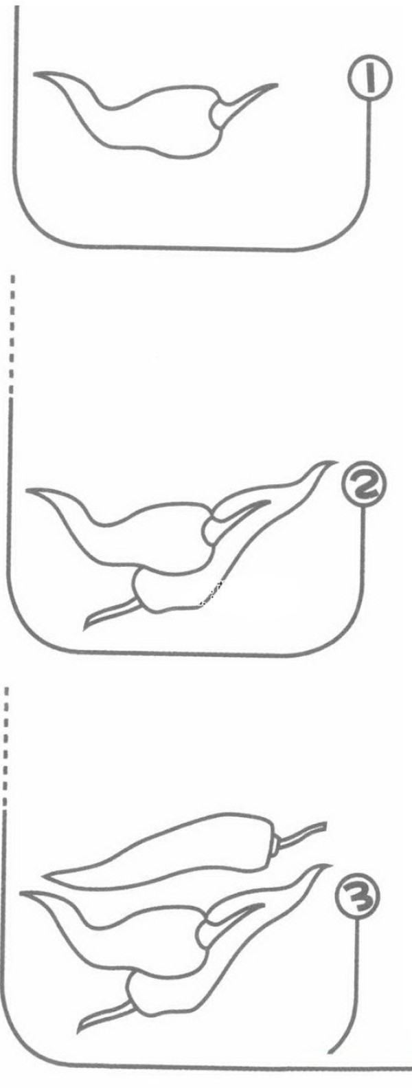 辣椒的画法