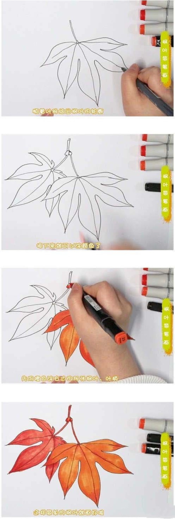 秋天枫叶简笔画