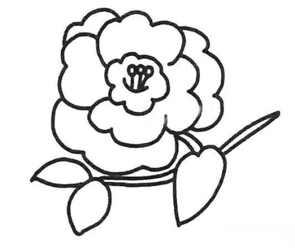 山茶花简笔画