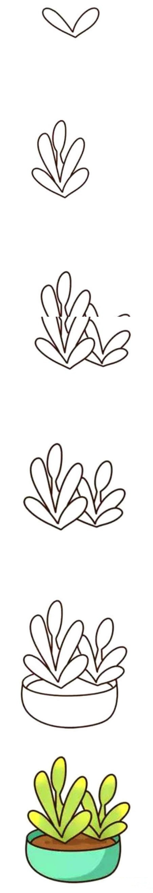 多肉植物简笔画