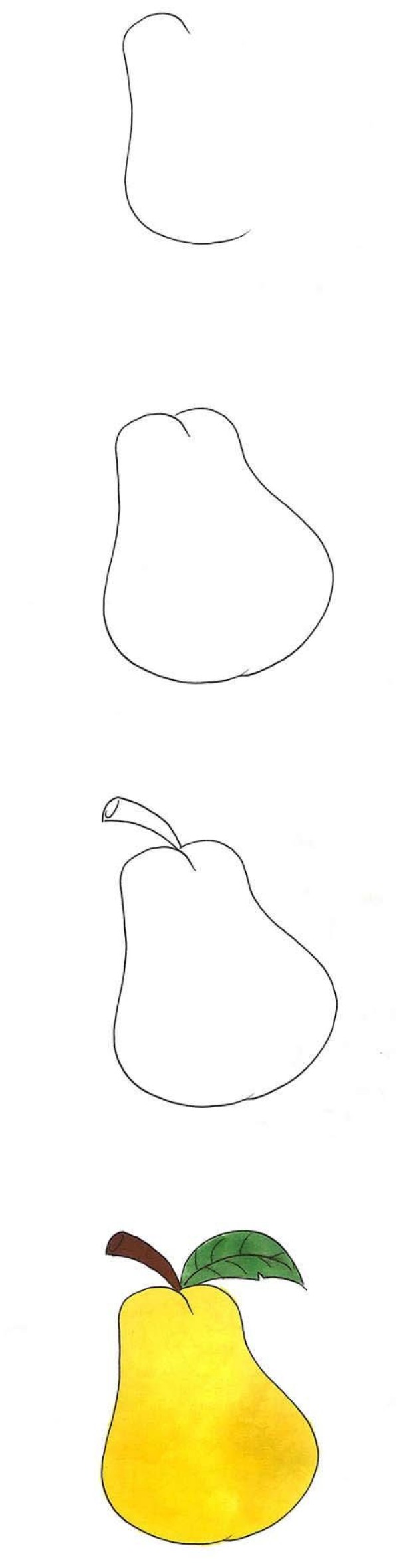 雪梨简笔画