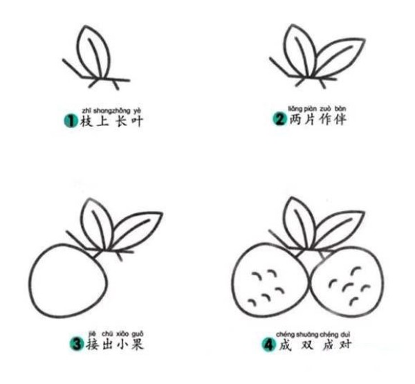 怎么画荔枝