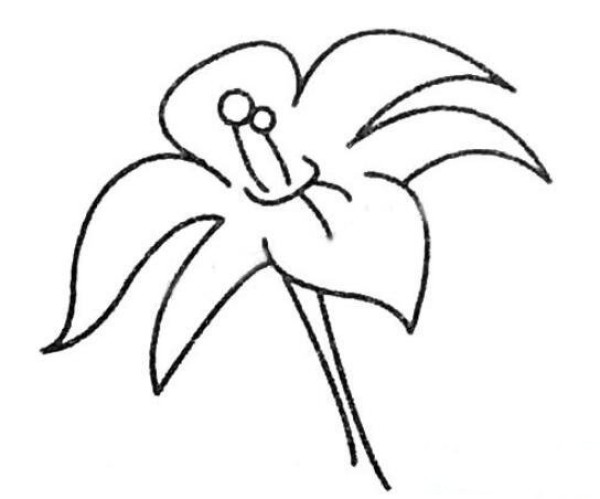 手绘百合花简笔画