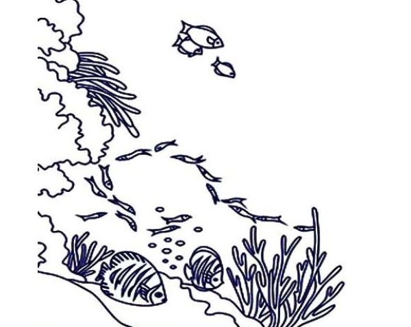 海洋动物的简笔画图片