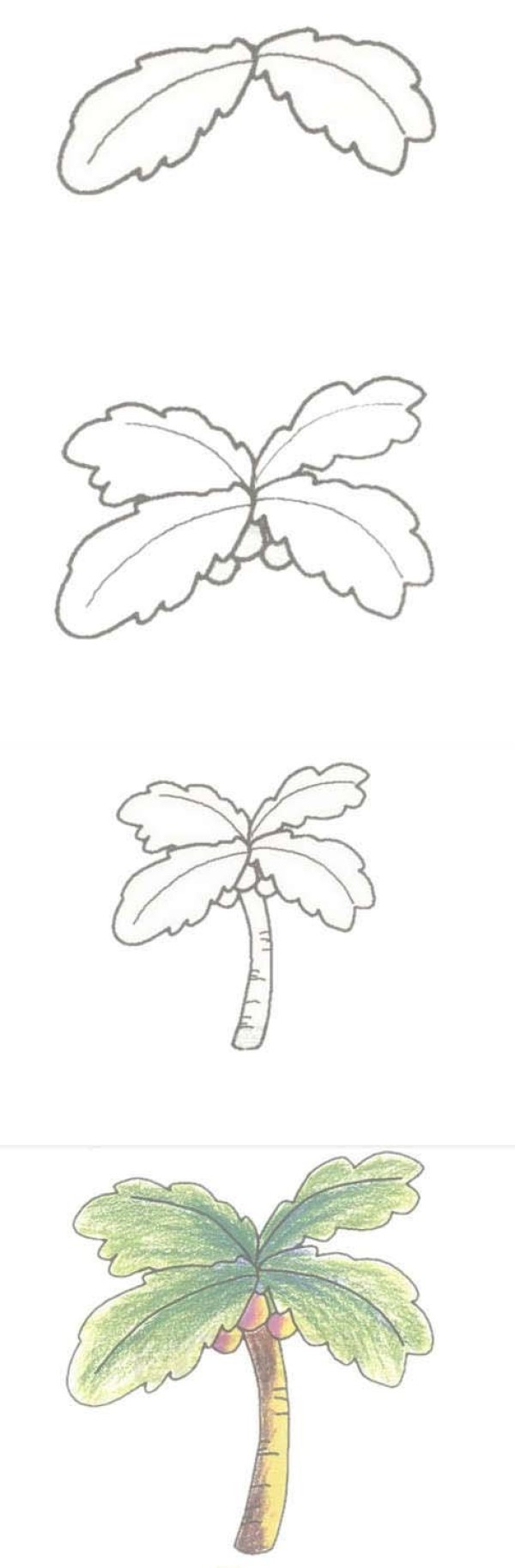 手绘椰子树简笔画