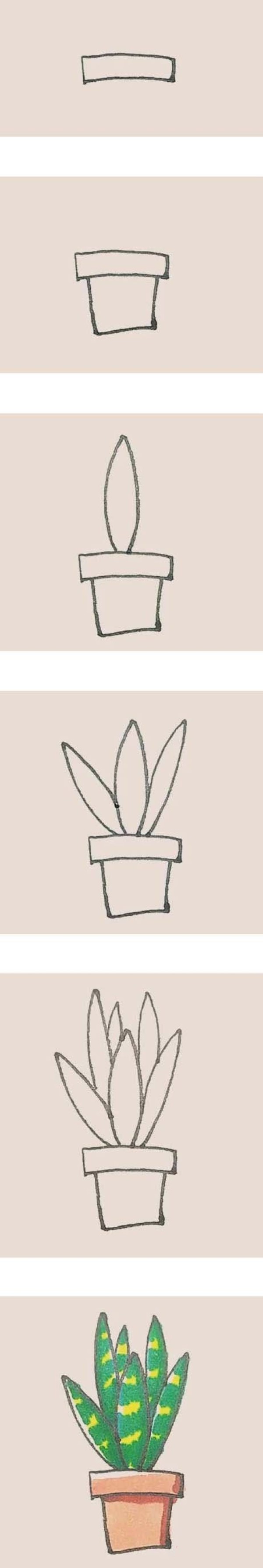 彩色虎皮兰简笔画