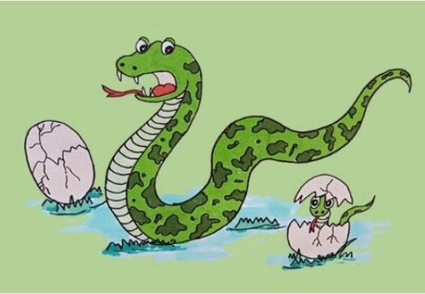 教你怎么画蛇