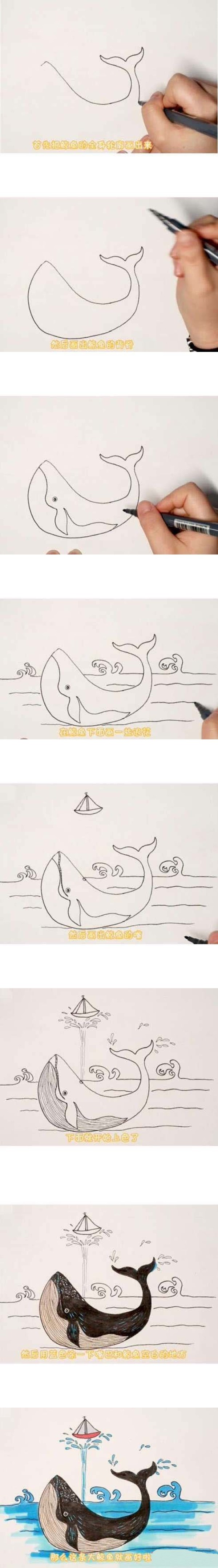 怎么画喷水鲸鱼