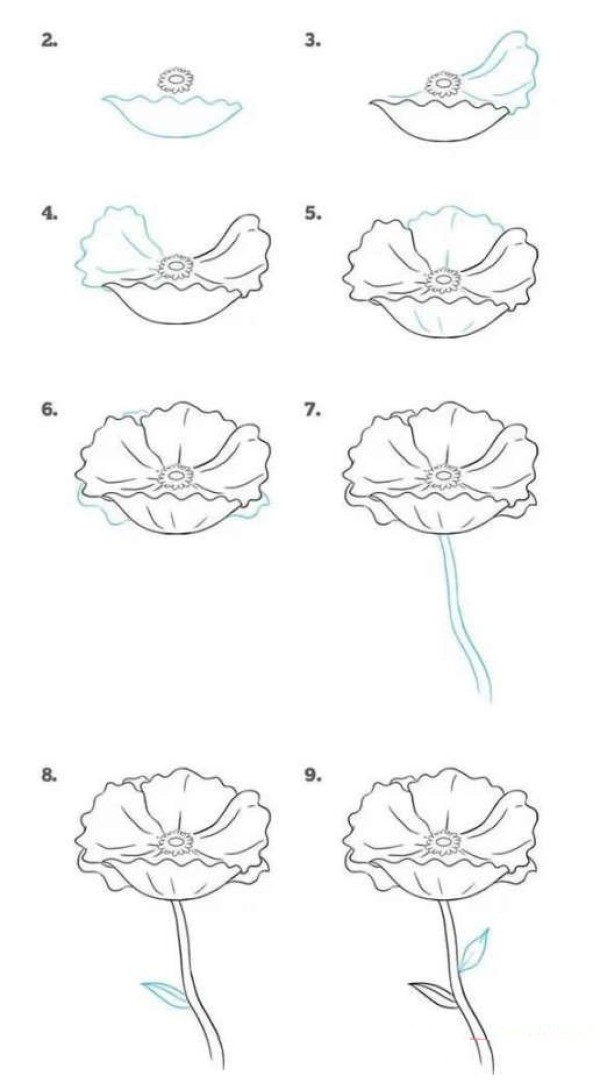 红菊花简笔画