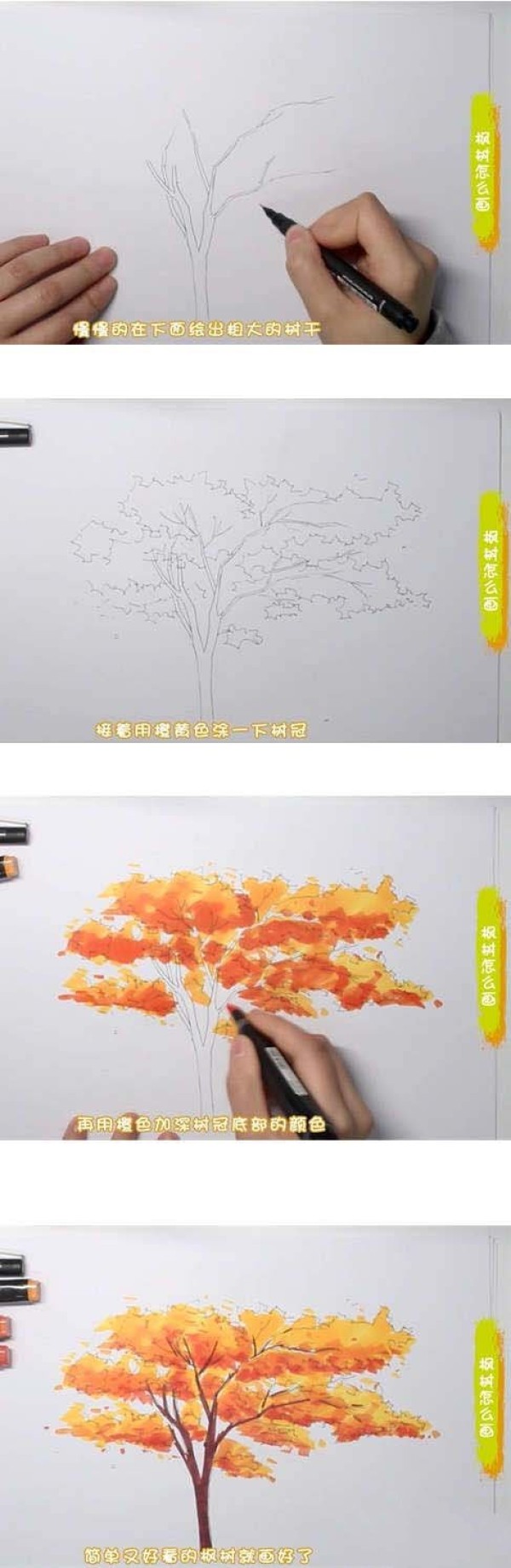 怎么画枫树