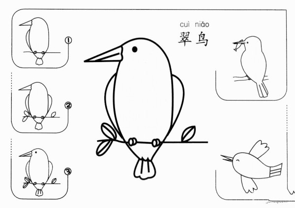 翠鸟怎么画