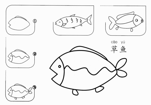 草鱼怎么画