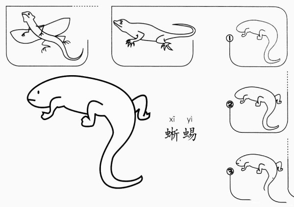 蜥蜴怎么画