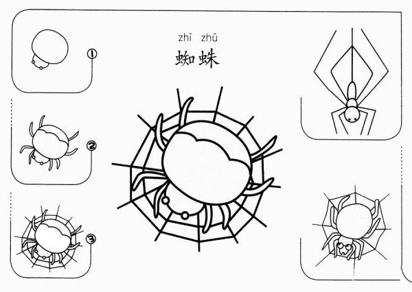 蜘蛛怎么画