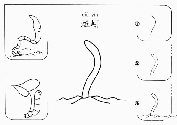 蚯蚓怎么画